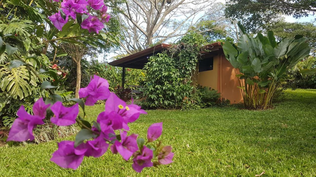 Tacacori Ecolodge Alajuela Eksteriør bilde