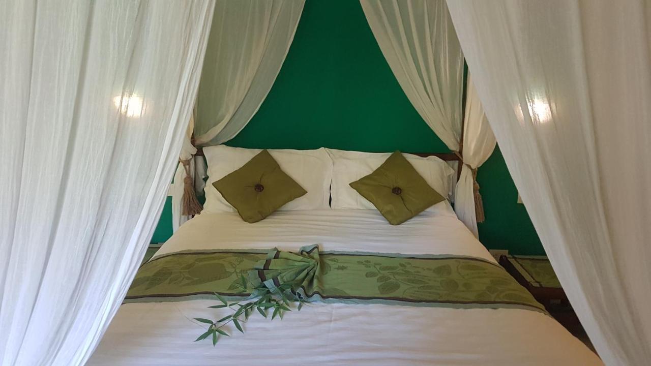 Tacacori Ecolodge Alajuela Eksteriør bilde