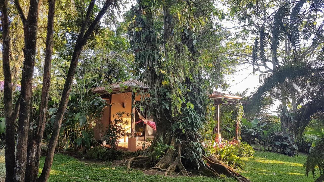 Tacacori Ecolodge Alajuela Eksteriør bilde