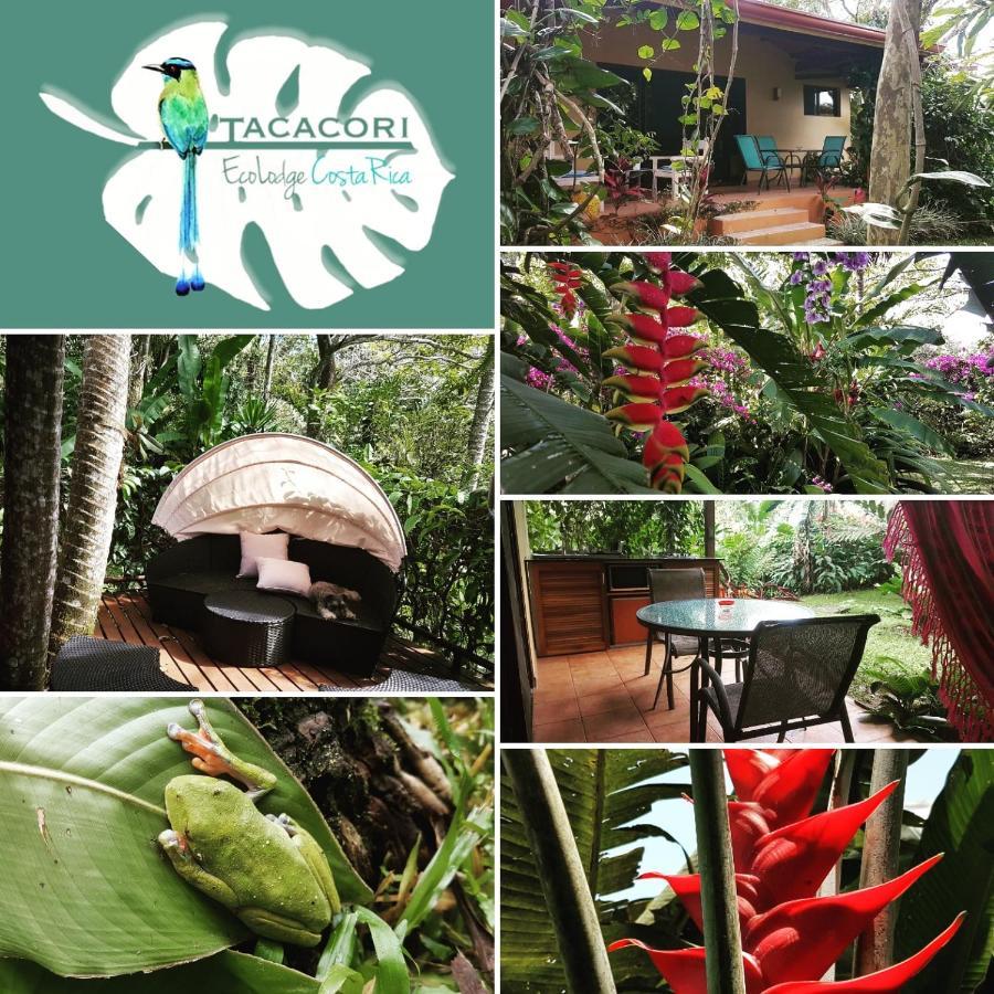 Tacacori Ecolodge Alajuela Eksteriør bilde