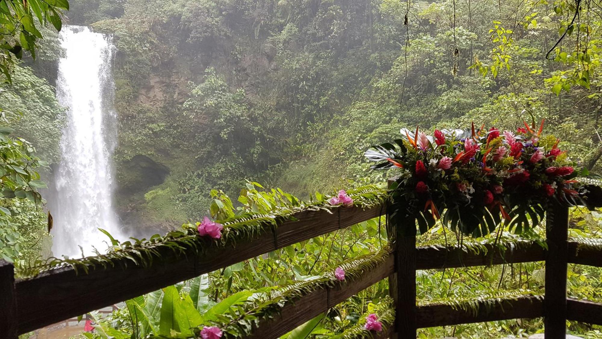 Tacacori Ecolodge Alajuela Eksteriør bilde