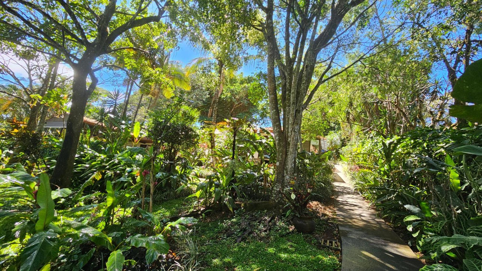 Tacacori Ecolodge Alajuela Eksteriør bilde