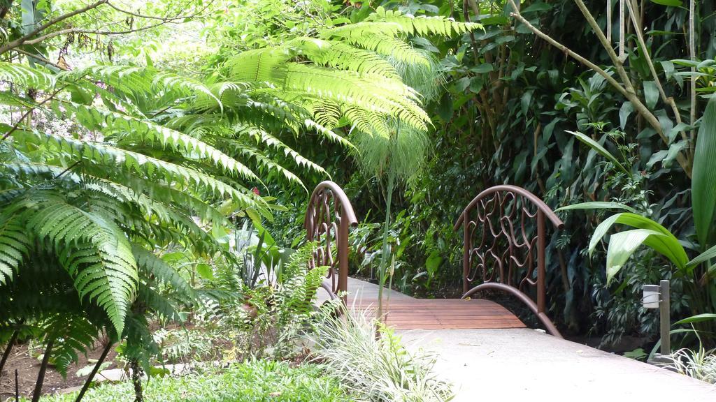 Tacacori Ecolodge Alajuela Eksteriør bilde