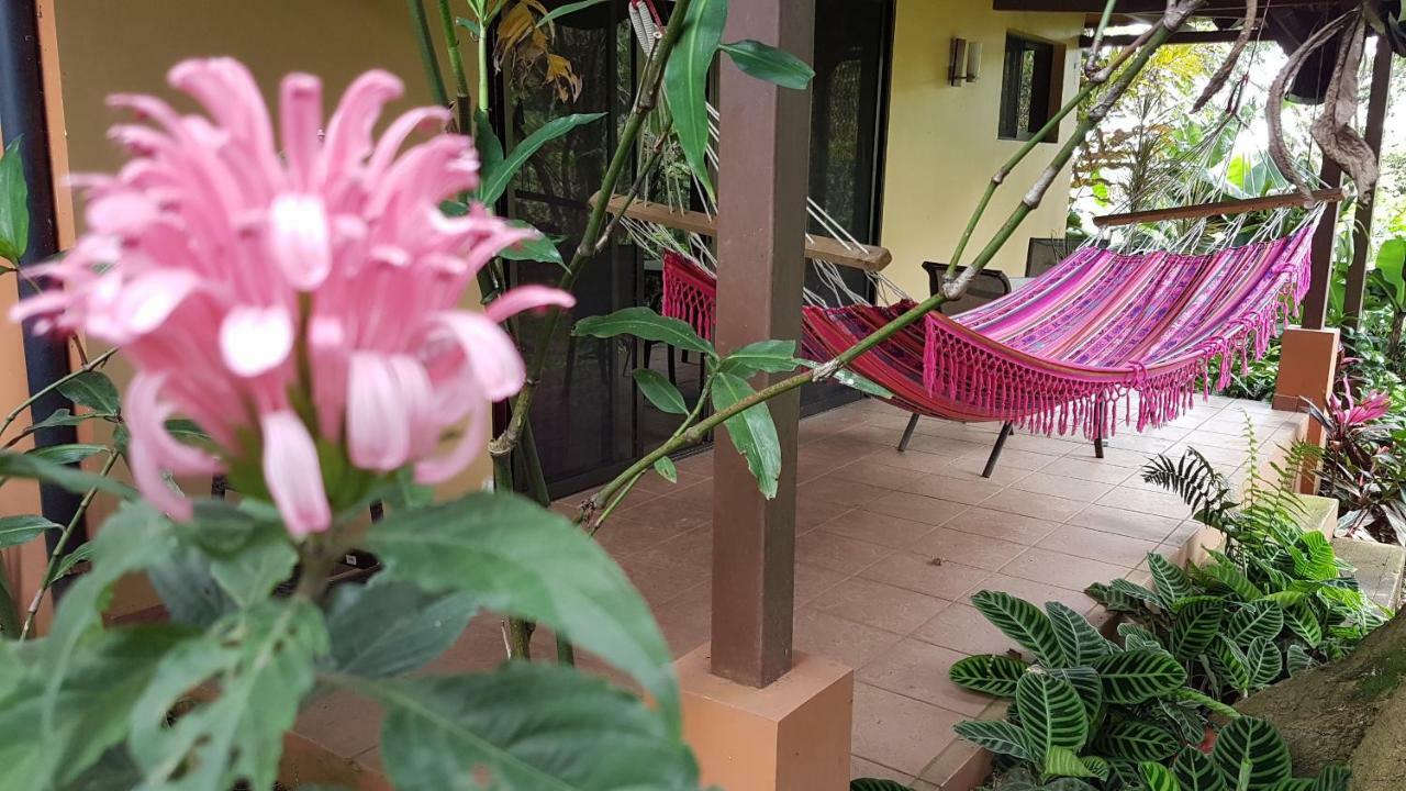 Tacacori Ecolodge Alajuela Eksteriør bilde