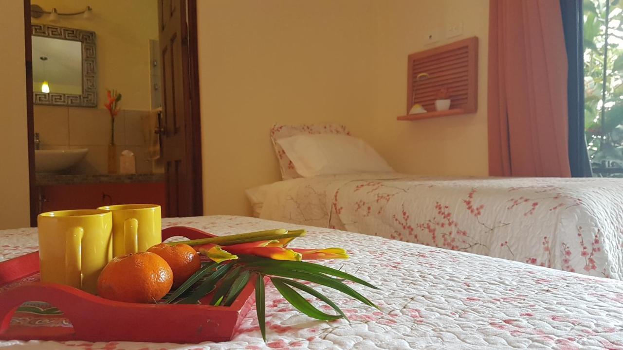 Tacacori Ecolodge Alajuela Eksteriør bilde